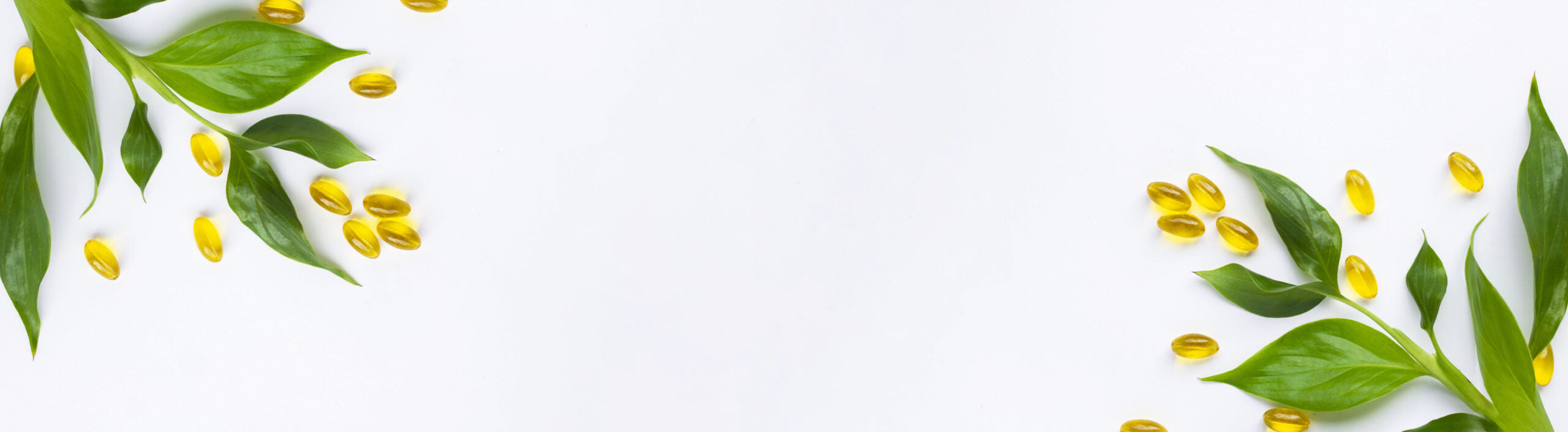 banner.jpeg__PID:8cc47319-8982-4e93-a93e-a5650a1c1ab1